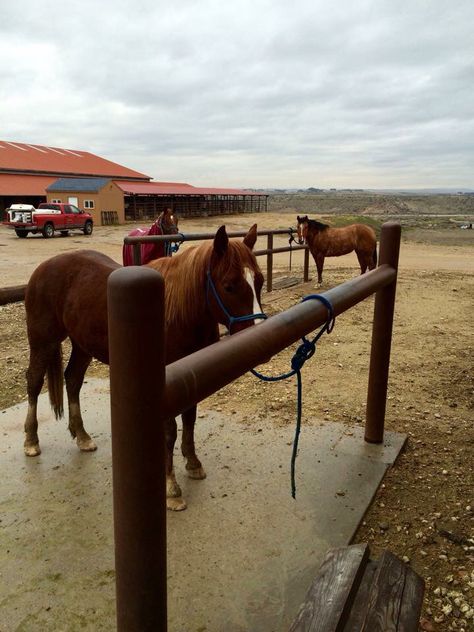 Horse tie rails                                                                                                                                                     More Horse Hitching Post Ideas, Diy Horse Tie Post, Horse Tie Up Area, Horse Wash Rack Outdoor, Horse Tie Post, Hitching Post For Horses, Horse Tie Up Post, Outdoor Cross Ties For Horses, Tie Stalls For Horses