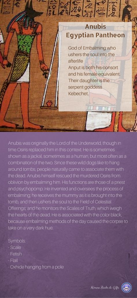 Anubis Meaning, Anubis Deity, Anubis Mythology, Lord Anubis, Egyptian Mythology Creatures, Anubis Facts, Egyptian Mythological Creatures, Anubis Witchcraft, Working With Anubis