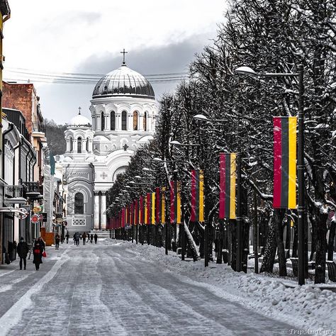 Lithuanian Wallpaper, Lithuanian Architecture, Lithuania Winter, Lithuania Architecture, Lithuania Kaunas, Lithuania Flag, Lithuania Travel, Weeknd Concert, Kaunas Lithuania