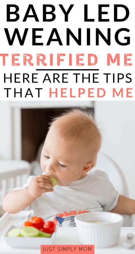 Baby Led Weaning Terrified Me. Here are the Tips That Helped - Just Simply Mom Infant Development, Baby Led Weaning First Foods, Weaning Foods, Mother Care, Baby Guide, Baby Led Weaning Recipes, Healthy Baby Food, Weaning Recipes, Mommy Tips