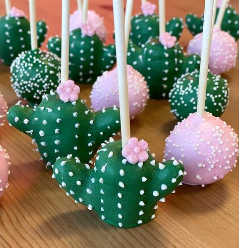 Alyssa's Cakery (@alyssascakery) • Instagram photos and videos Cactus Cake Pops, Cactus Cake, Fingerfood Party, Fiesta Birthday Party, Cactus Party, Fiesta Theme, Fiesta Birthday, Fiesta Baby Shower, Mexican Party