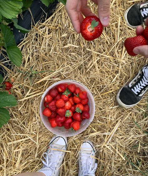 Boyfriend Date Ideas Aesthetic, Strawberry Picking Date, Couple Activity Aesthetic, Strawberry Picking Aesthetic, Bug Core, Corinne Michaels, Dates Ideas, Strawberry Aesthetic, Fall Dates