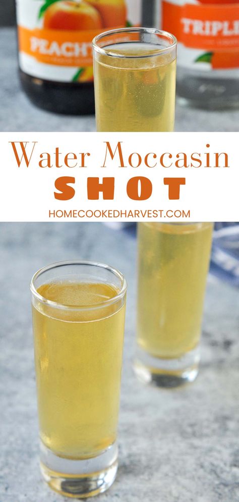 The Water Moccasin Shot is a flavorful mix of peach liqueur, orange liqueur & whiskey. This popular shot is a drink your friends will love. Peach Liqueur Cocktails, Shots For A Crowd, 21st Makeup, Shots Alcohol Recipes, Breakfast Shot, Jello Jigglers, Easy Alcoholic Drinks, Specialty Drinks, Dessert Shots