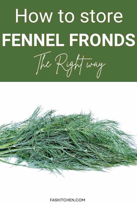 A close-up image of fresh green Fennel Fronds on a wooden cutting board. Learn about the nutrition, benefits, usage, buying tips, and storage methods in our complete guide. Perfect for enhancing your culinary skills! #FennelFronds #Herbs #Cooking What To Do With Fennel Tops, How To Use Fennel Fronds, Fennel Fronds Uses, Fennel Fronds Recipes, Fennel Plant, Fennel Fronds, Storing Herbs, Fennel Recipes, Herb Storage