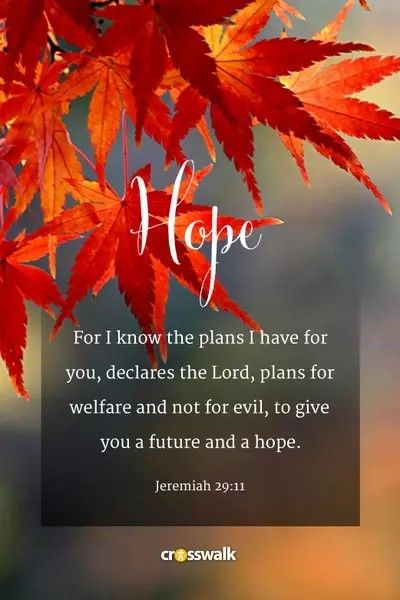 Thanksgiving Quotes Christian, Bible Verse Images, Fall Bible Verses, Encouraging Bible Quotes, Fall Christian, Biblical Meditation, Verse Images, Scripture Wallpaper, Christian Graphics