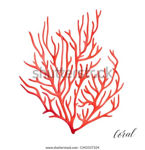 Corals Illustration, Coral Vector, Sea Life Illustration, Coral Tattoo, Coral Artwork, Coral Logo, Coral Painting, Bags Inspiration, Coral Art