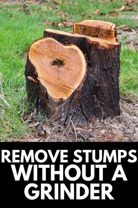 Hiring someone to grind down a tree stump in your yard can be costly. Here, we discuss how to remove tree stumps without a grinder! Read more at OwnTheYard.com! Remove Tree Stump And Roots, Diy Stump Removal, How To Remove Tree Stumps Fast, How To Remove Stumps, Stump Removal Diy, Tree Stump Removal Diy, Ideas For Tree Stumps In Yard, How To Kill A Tree Stump Fast, Tree Stump Ideas Outdoor