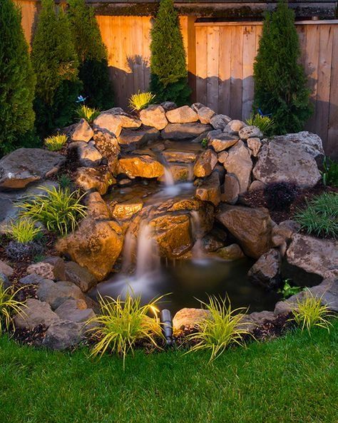 15 Backyard Pond Ideas — Kevin Szabo Jr Plumbing - Plumbing Services│Local Plumber│Tinley Park, IL Water Features, Water, Plants