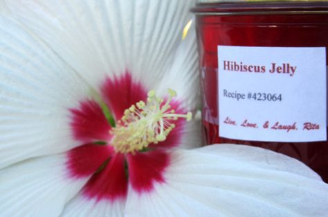 Hibiscus is slightly acidic making this a vibrant red sweet and tangy jelly. Can be used to ice tea, top toast, pancakes, ice cream added to margarit Jamaica Flor, Hibiscus Jelly, Red Sorrel, Unsweetened Cranberry Juice, Can Jam, Dried Hibiscus Flowers, Jelly Recipe, Natural Diuretic, Jam And Jelly