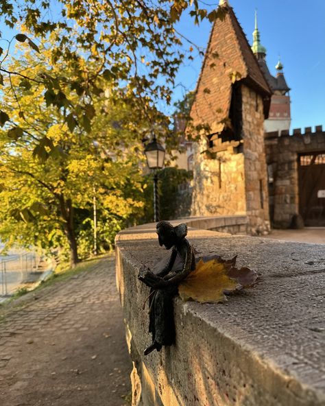 Budapest Now: 🍂 Autumn is my favourite season in Budapest because I arrived 3 years ago to live here🫶🏽 It was my very first time spending autumn with orange and brown colours (Cancun is summer all year😅) and I just have such an emotional connection with this season for that reason 🍂 So City park was my first time ever seeing an orange maple leaf 🍁 and this park has to be my favourite to spend and enjoy autumn. So don’t miss it out! Around middle of November is the last opportunity to see s... Budapest Travel, Budapest Hungary, Emotional Connection, Cancun, Park City, Budapest, Travel Blogger, Travel Photography, Travel Inspiration