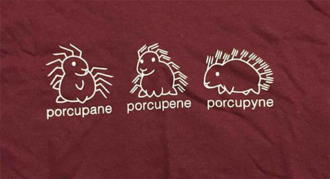 Porcupane Porcupene Porcupyne Science Humor Jokes, Science Humor Biology, Science Humor Chemistry, Science Quotes Funny, Chemistry Quotes, Chemistry Puns, Biology Humor, Science Puns, Chemistry Humor