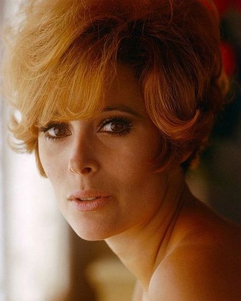 Film Dialogue on Instagram: "Jill St John Jill St. John (born Jill Arlyn Oppenheim; August 19, 1940) is an American former actress. She may be best known for playing Tiffany Case, the first American Bond girl of the 007 franchise, in Diamonds Are Forever. Additional performances in film include Holiday for Lovers, The Lost World, Tender Is the Night, Come Blow Your Horn, for which she received a Golden Globe nomination, Who's Minding the Store?, Honeymoon Hotel, The Liquidator, The Oscar, Tony Richard Beymer, Jill St John, Bond Women, Tender Is The Night, Terry O Neill, Honeymoon Hotel, George Burns, Diamonds Are Forever, Bond Girl