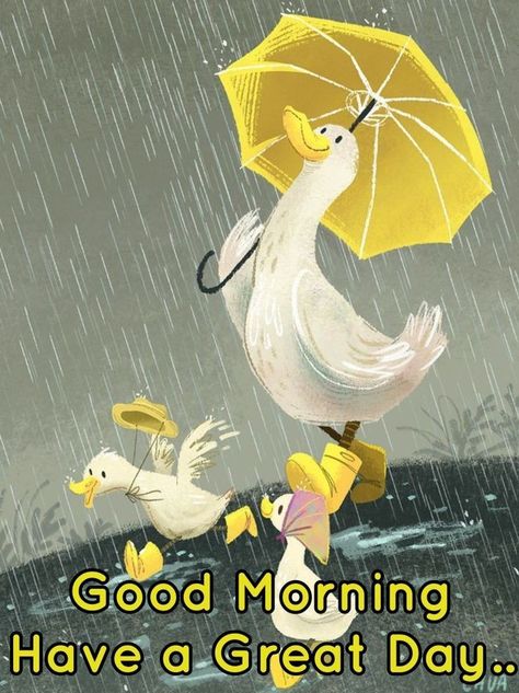 Rainy Day Images, Good Morning Rain, Rainy Good Morning, Good Morning Rainy Day, Rainy Day Quotes, Funny Good Morning Messages, Good Morning Funny Pictures, Morning Rain, Happy Morning Quotes