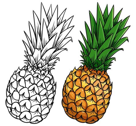 Fresh pine apple and outline on white background Pine Apple, Free Vectors, Images Photos, Vector Art, Pineapple, White Background, Vector Free, Royalty, Royalty Free