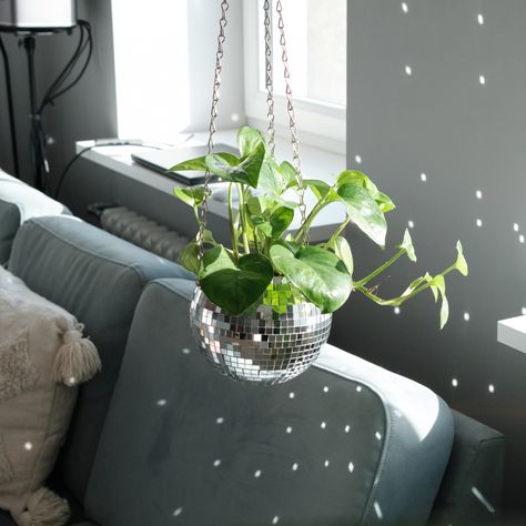 A little sparkle goes a long way! 🌟 Transform your home into a disco wonderland with Scandinordica fabulous silver disco ball planter. #homedecor #chicdecor #discoball #interiordesign #mirrorball #bohodecor #bohohome #chicdecor #eclecticdecor #amazonfavorites #hangingplanters #plantlovers #funplanters #homeinspo #plantroom #scandinordica Fun Planters, Disco Decorations, Mirror Ball, Room With Plants, Disco Ball, Hanging Planters, Eclectic Decor, Chic Decor, Boho Decor