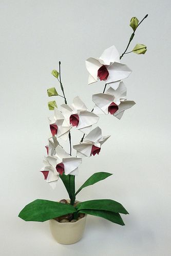 White Origami Orchid ("Michelle's Orchid") | Flickr - Photo Sharing Origami Orchid, Origami Flower Bouquet, Origami Bouquet, Origami Turtle, Flowers Orchids, Flower Orchid, Origami And Kirigami, Origami Butterfly, Origami Paper Art