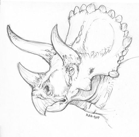 Triceratops Sketch, Drawing Dinosaurs, Dino Drawing, Dinosaur Triceratops, Dinosaur Sketch, Dinosaur Tattoos, Dinosaur Drawing, Dinosaur Illustration, Paleo Art