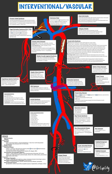 Vascular Interventional Radiology Cheat Sheet  Cynthia Czawlytko, MD @drcyncity  #Vascular #Interventional #Radiology #CheatSheet #Differential #Diagnosis #Interventions #Diseases #procedures #summary #diseases Radiology Nursing, Clinical Instructor, Cardiac Sonography, Vascular Ultrasound, Natural Remedies For Insomnia, Differential Diagnosis, Diagnostic Medical Sonography, Interventional Radiology, Vascular Surgery