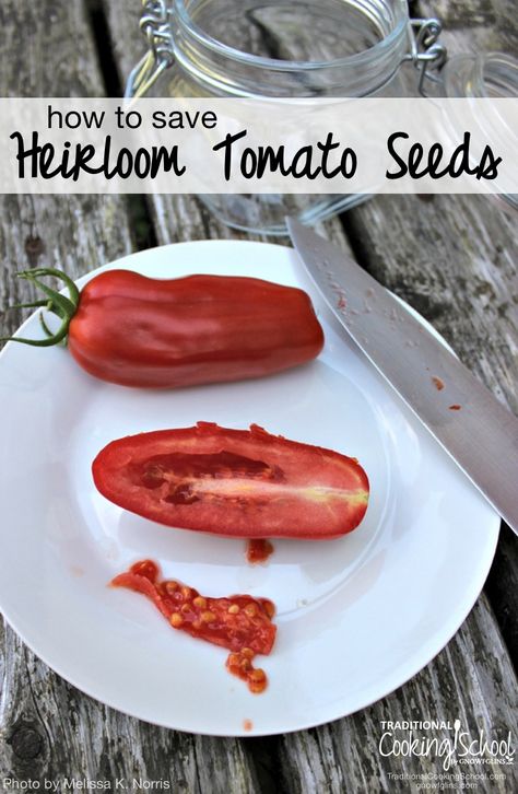 How To Save Seeds, Save Seeds, Saving Seeds, Heirloom Tomato Seeds, Traditional Cooking, Homestead Gardens, Heirloom Tomato, Seed Saving, Tomato Seeds