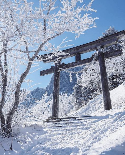 Snowy Background Aesthetic, Blue Japanese Aesthetic, Japanese Nature Aesthetic, Blue China Aesthetic, Japan Winter Wallpaper, Winter Japan Wallpaper, Japanese Alps Winter, Japan Snow Aesthetic, Snow In Japanese