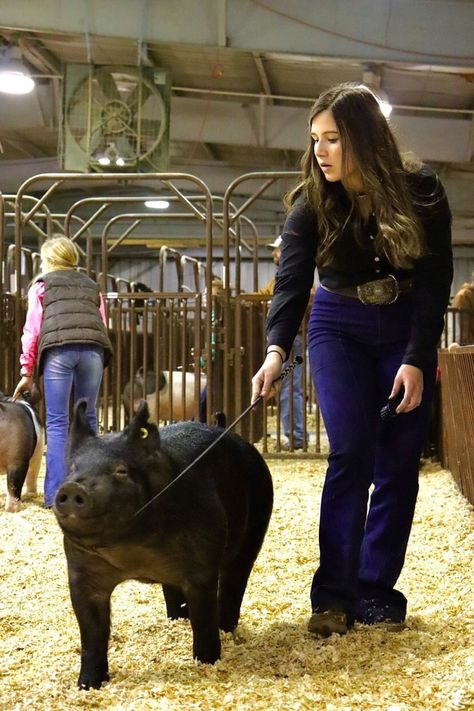 4h Show Outfits, Livestock Show Aesthetic, Show Pig Aesthetic, Pig Show Outfits, Show Outfits Livestock, Country Aethstetic, Livestock Show Outfits, Livestock Pictures, Ffa Pictures