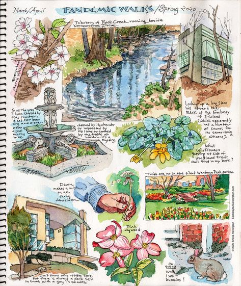 DC – Each Day Is A Celebration Travel Journal Art, Sketch Design Ideas, Travel Watercolor Journal, Nature Drawing Aesthetic, Draw Your Day, Water Colour Journal, Watercolor Art Journal Ideas, Illustrated Diary, Illustrated Journaling