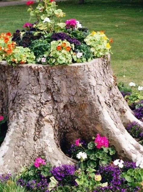 Tree Stump Decor, Front Yard Flowers, Tree Stump Planter, Landscaping Around Trees, Shade Flowers, Most Beautiful Gardens, Kew Gardens, Tree Stump, Succulents Garden