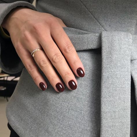 Short Oval Burgundy Nails, May Nails, Cherry Nails, Nail Shimmer, Classic Nails, Burgundy Nails, Soft Nails, Oval Nails, Neutral Nails