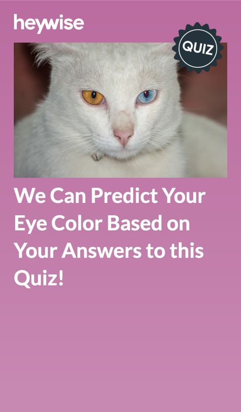 What Eye Shape Do I Have Chart, People With Green Eyes, What Colors Represent, Which Hogwarts House, Hazel Color, Color Quiz, Different Colored Eyes, Trivia Quiz, Dark Brown Eyes