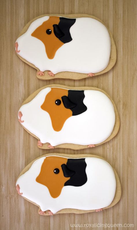 Guinea Pig Cookies | Cookie Connection Royal Icing Cookie Decorating, Gingerbread Icing, Pig Cookies, Pig Birthday Party, Rabbit Cake, Sugar Cookie Royal Icing, Cookie Connection, Pig Cake, Cute Guinea Pigs