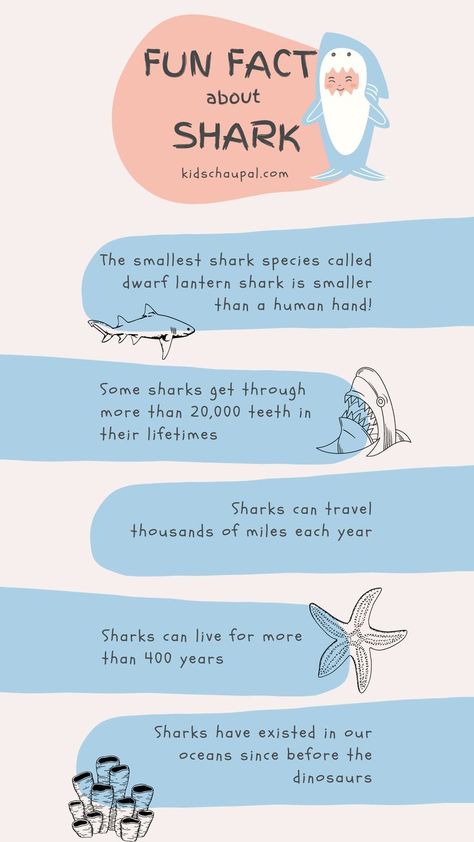 Shark Diagram Aesthetic, Fun Facts Animals, Fun Facts About Sea Animals, Shark Hyperfixation, Lemon Shark Facts, Sea Animal Facts, Marine Biology Facts, Facts About Sea Animals, Shark Fun Facts