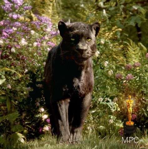 Congratulations to Rob Legato, Adam Valdez and the whole VFX teams of #MPC and #WetaDigital to have won the Best #VFX Award at the #Oscars! http://www.artofvfx.com/oscars-2017-best-visual-effects-winner/ Jungle Book Panther, Mogli Jungle Book, Jungle Book 2016, Jungle Book Movie, Ben Kingsley, Disney Live Action Movies, In Theaters Now, Iron Man Wallpaper, The Jungle Book