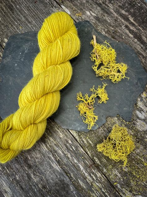 Lichen Dye, Spinning Yarn Fiber, Fabric Dyeing Techniques, Dye Flowers, Natural Dye Fabric, Video Project, Fabric Dyeing, Botanical Dye, Sewing Alterations