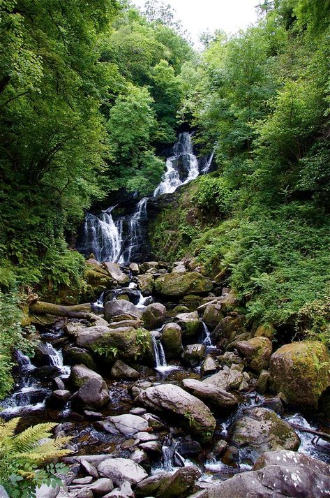 Munster Ireland, Ireland Aesthetic, Killarney Ireland, Ireland Destinations, Places In England, Ireland Travel Guide, Visit Ireland, Killarney, Waterfall Photography