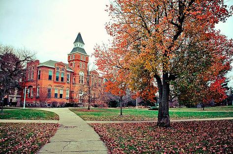 Michigan State University, East Lansing, MI Msu Campus, Michigan State University Campus, East Lansing Michigan, Msu Spartans, University Architecture, Lansing Michigan, College Aesthetic, Vintage Michigan, East Lansing