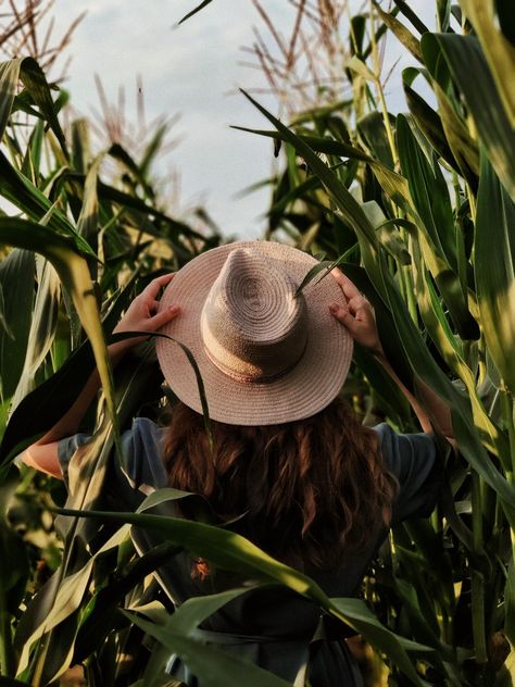 Corn Field Photography, Corn Photoshoot, Corn Field Photoshoot, Cornfield Photoshoot, Farm Picture Ideas, Corn Photography, Botanical Garden Photo Shoot, Foto Cowgirl, Farm Pictures