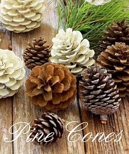 Pine Cones Pine Cone Wedding, Hanging Wreaths, Scabiosa Pods, Pew Decorations, Decorations Flowers, Summer Centerpieces, Hypericum Berries, Diy Budget, Petal Confetti