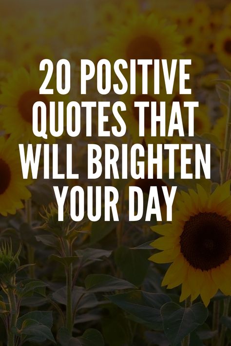 20 Positive Quotes That Will Brighten Your Day Chakras Meditation, Daily Quotes Positive, Brainy Quotes, Powerful Inspirational Quotes, Powerful Motivational Quotes, Quotes About, Happy Photography, Be Rich, Short Inspirational Quotes