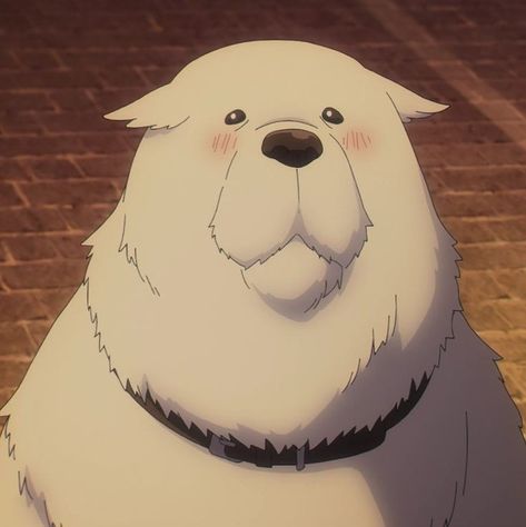 Bond Forger, Spy X Family Anime, Dog Icon, Spy Family, Very Scary, Anime Family, Anime Animals, Spy X Family, Anime Screenshots