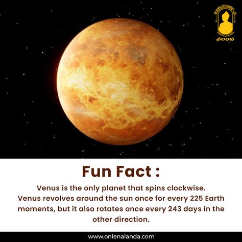 Venus Facts, Hyderabad, Sofia, Did You Know, Planets, Fun Facts, Presentation, In This Moment, Education