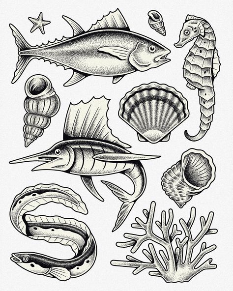 Fish Tattoo Flash Sheet, Ocean Fish Illustration, Sea Urchin Tattoo, Tattoo Flash Sheet, Cartoon Fish, Fish Illustration, Black Work, Flash Art, Tattoo Flash