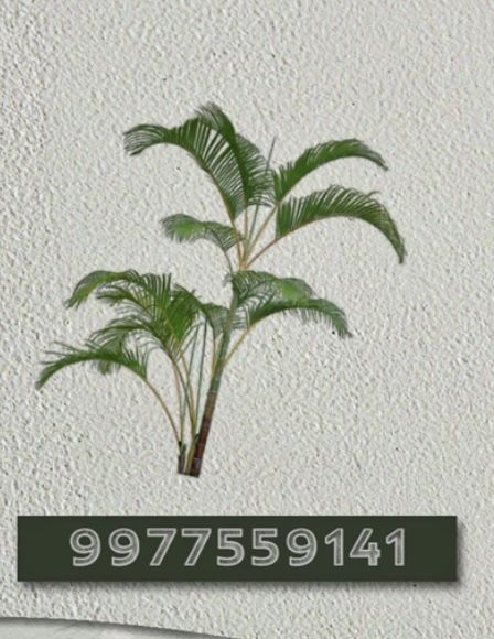 Bloxburg Plant Decals Codes Palm Tree, Palm Tree Codes Bloxburg, Palm Tree Decal Codes Bloxburg, Tree Decal Codes Bloxburg, Bloxburg Tree Decals Codes, Bloxburg Palm Tree Decal, Palm Tree Decals Bloxburg, Tree Decals Bloxburg, Bloxburg Tree Decals