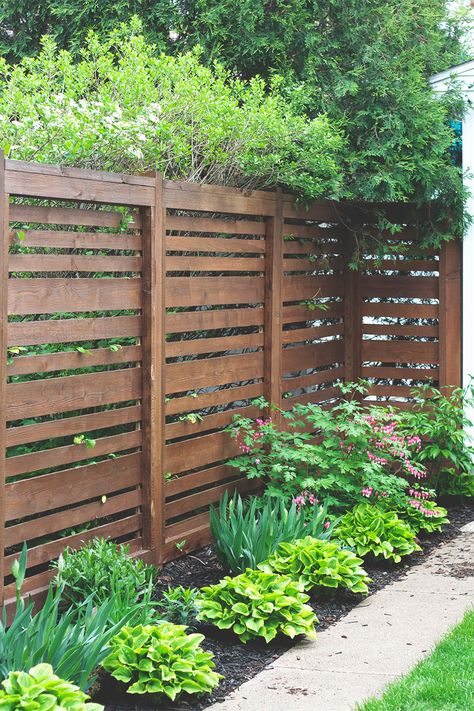 Privacy Fence Landscaping, Fence Design Ideas, Diy Privacy Fence, Wood Fence Design, Modern Fence Design, Easy Gardening, Rustic Fence, Privacy Fence Designs, Cheap Backyard