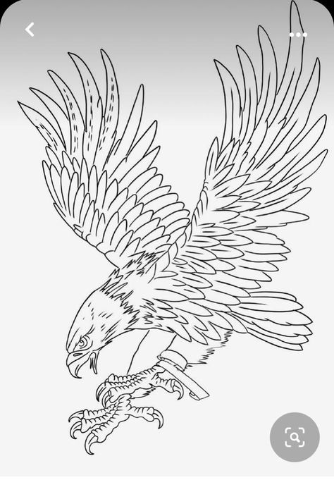 Tattoo Ideas Big, Eagle Tattoo Ideas, Harley Davidson Eagle, Chicano Tattoo, Itachi Uchiha Art, Eagle Tattoos, Old School Tattoo Designs, Eagle Tattoo, Faded Hair