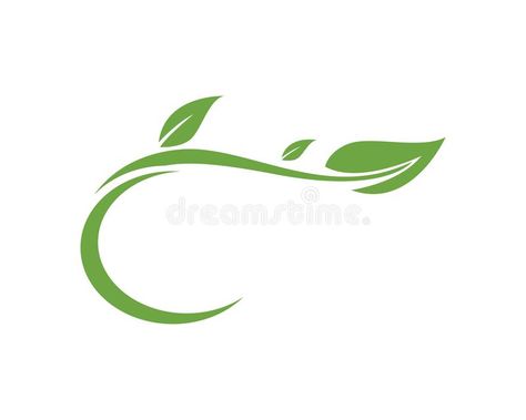 Leaf green nature logo and symbol template Vector royalty free illustration Green Leaf Logo, Vector Leaf, Nature Logo, Studio Ghibli Art, Leaves Vector, Leaf Logo, Simple Background Images, Nature Green, Ghibli Art