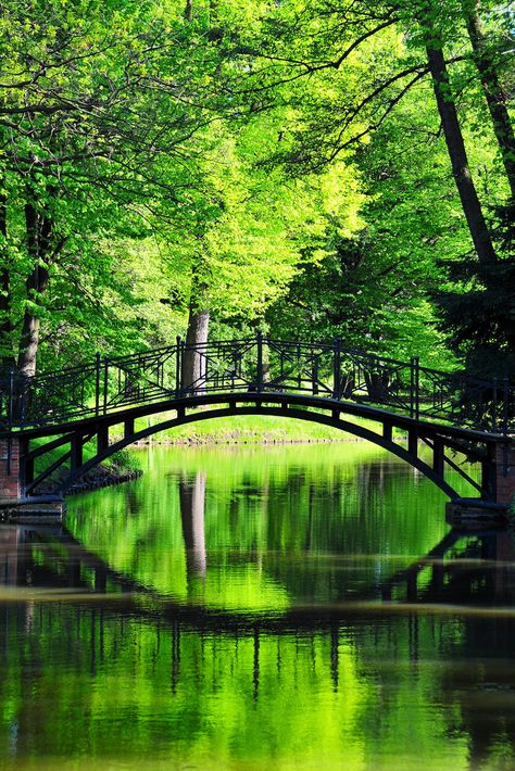 Serene green - Poland Poland History, Green Peace, Zen Bedroom, Green Garden, Covered Bridges, A Bridge, Space Travel, Bath Decor, Places Around The World