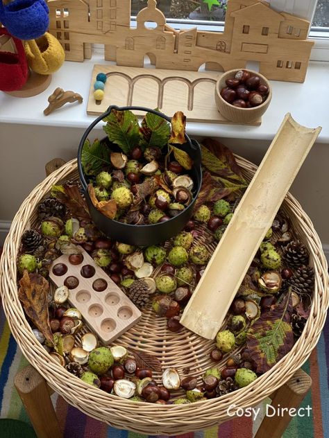 Conkers Activities Eyfs, Curiosity Approach Halloween, Conker Activities Eyfs, Autumn Curiosity Approach, Harvest Eyfs, Conkers Craft, Autumn Eyfs Activities, Curiosity Approach Eyfs, Autumn Eyfs