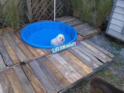 Bone Shaped Dog Pool, Diy Dog Pool, Dog Pool Ideas, Puppy Pool, Dog Swimming Pools, Dog Yard, Dog Pool, Dog Swimming, Pool Steps