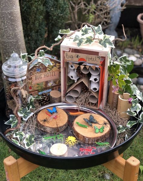 Outdoor Spring Activities, Diy Bug Hotel, Minibeasts Eyfs, Minibeasts Activities, Mini Beasts, Tuff Spot, Eyfs Classroom, Bug Hotel, Eyfs Activities