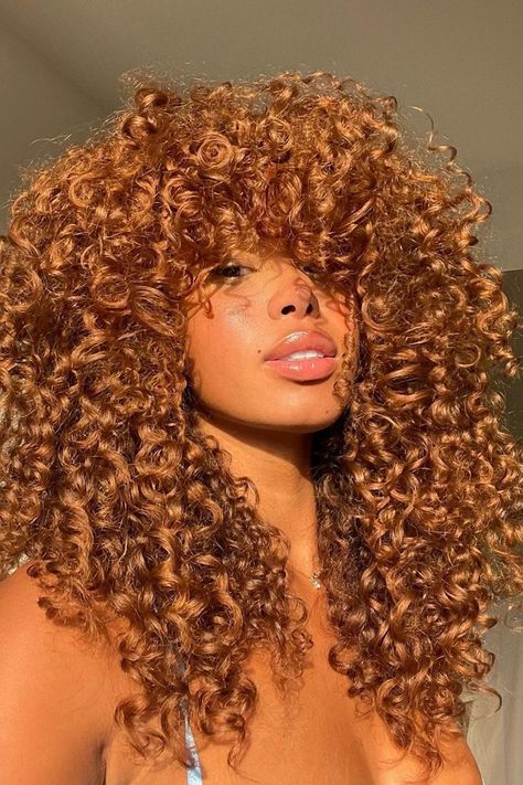 Mslynnhair Human Hair Lace Wig Wigs Colorful Hair Ideas For Black Women, Hair Color Ideas Natural Curly Hair, Hair Colors For Light Skin Tones Black Women, Hair Color Same As Skin Tone, Colored Hair On Brown Skin Women, Same Hair Color As Skin, Curly Hair Colors Black Women, Dyed Black Curly Hair, Black Woman Hair Color Ideas